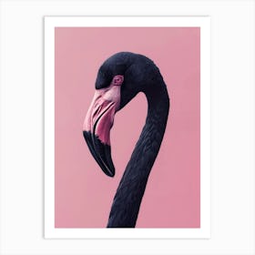 Flamingo 3 Art Print