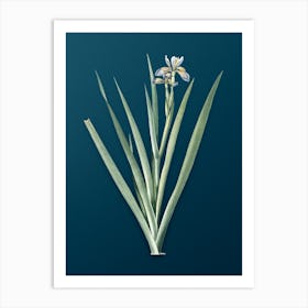 Vintage Stinking Iris Botanical Art on Teal Blue n.0547 Art Print