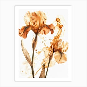 Orange Iris 1 Art Print