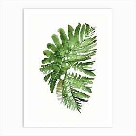 Leatherleaf Fern 3 Watercolour Art Print