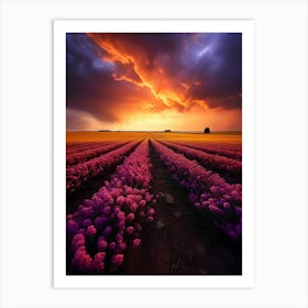 Sunset Over A Field Of Flowers Art Print