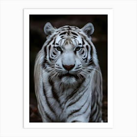 White Tiger 4 Art Print