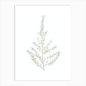 Vintage Sea Asparagus Botanical Illustration on Pure White n.0942 Art Print
