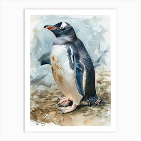 Humboldt Penguin Dunedin Taiaroa Head Watercolour Painting 4 Art Print