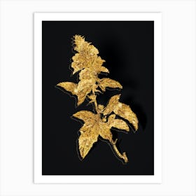 Vintage Tree Mallow Botanical in Gold on Black n.0395 Art Print