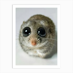 Sad Hamster Meme Art Print