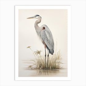 Vintage Bird Drawing Great Blue Heron 3 Art Print