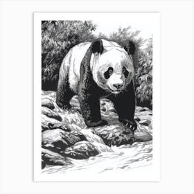 Giant Panda Standing On A Riverbank Ink Illustration 1 Art Print