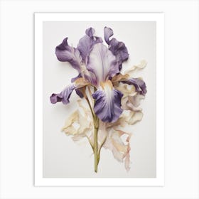 Pressed Flower Botanical Art Iris 5 Art Print
