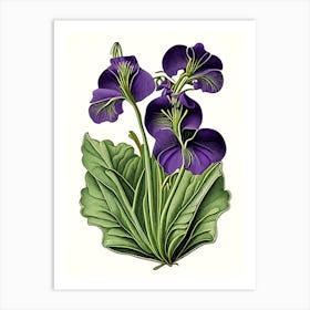 Marsh Violet Wildflower Vintage Botanical 1 Art Print