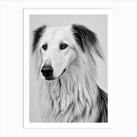 Borzoi B&W Pencil Dog Art Print