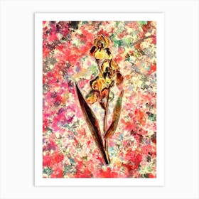 Impressionist Dalmatian Iris Botanical Painting in Blush Pink and Gold Art Print