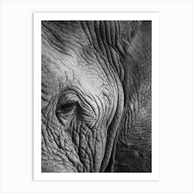 Elephant Study Art Print