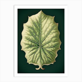 Marshmallow Leaf Vintage Botanical Art Print