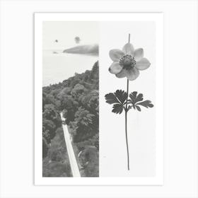 Anemone Flower Photo Collage 3 Art Print