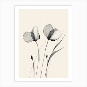 Poppies 1 Art Print