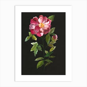 Douce Rose Art Print
