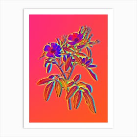 Neon Pink Swamp Roses Botanical in Hot Pink and Electric Blue n.0053 Art Print