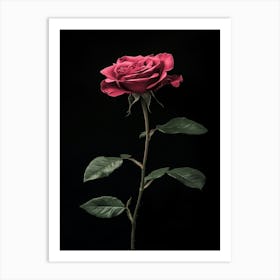 Single Rose On Black Background 19 Art Print