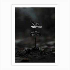 Single Leaf 2 Art Print