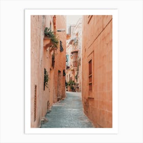 Moroccan Alleyway Art Print