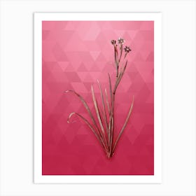 Vintage Bermudiana Botanical in Gold on Viva Magenta n.0667 Art Print