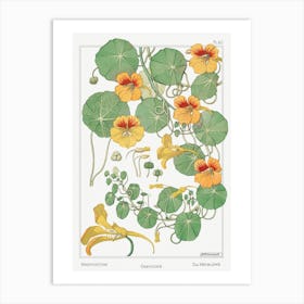 Art Nouveau Flowers Art Print Art Print