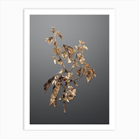 Gold Botanical Judas Tree on Soft Gray n.3648 Art Print