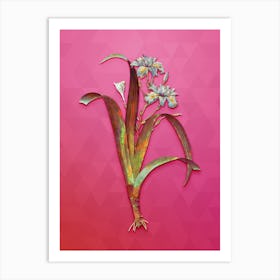 Vintage Iris Fimbriata Botanical Art on Beetroot Purple Art Print