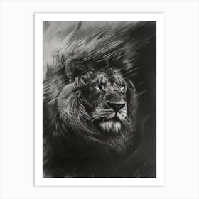 Barbary Lion Charcoal Drawing Facing A Storm 2 Art Print