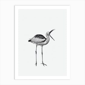 Stork B&W Pencil Drawing 3 Bird Art Print
