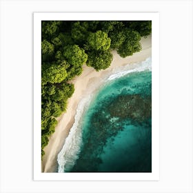 Aerial View Of A Tropical Beach 5 Art Print