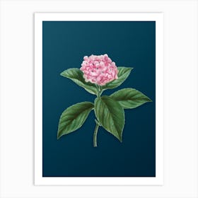 Vintage French Hydrangea Botanical Art on Teal Blue n.0522 Art Print