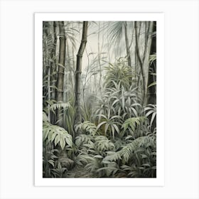 Vintage Jungle Botanical Illustration Bamboo 5 Art Print