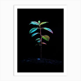 Tree Growing In The Dark 1 Art Print