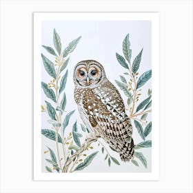 Spotted Owl Drawing 3 Art Print