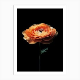 Orange Flower 5 Art Print