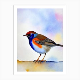 European Robin 2 Watercolour Bird Art Print
