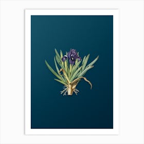 Vintage Pygmy Iris Botanical Art on Teal Blue Art Print