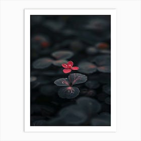 Cute Lily Flower Art Print