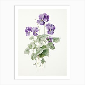 Violets Flower Vintage Botanical 2 Art Print