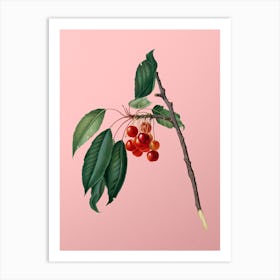 Vintage Cherry Botanical on Soft Pink n.0044 Art Print