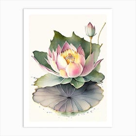 Blooming Lotus Flower In Lake Watercolour Ink Pencil 3 Art Print