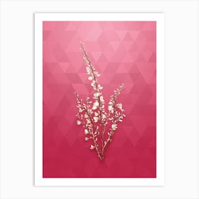 Vintage White Broom Botanical in Gold on Viva Magenta n.0005 Art Print