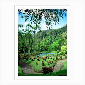 Martinique Park Wild Art Print