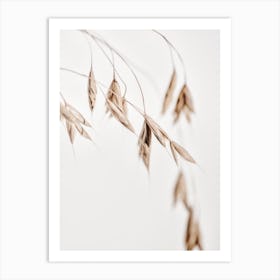 Dried Grass 1 Art Print