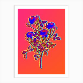 Neon Burgundian Rose Botanical in Hot Pink and Electric Blue n.0364 Art Print