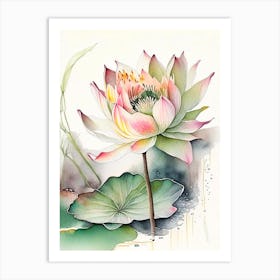 Lotus Flower In Garden Watercolour Ink Pencil 3 Art Print