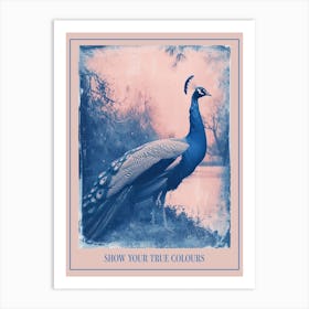 Peacock By The River Cyanotype Inspired 1 Poster Art Print
