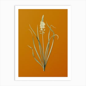 Vintage Wild Asparagus Botanical on Sunset Orange n.0098 Art Print